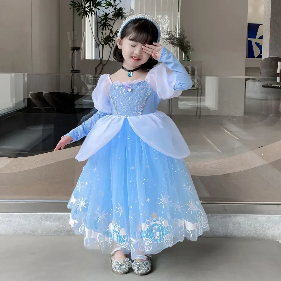 Cinderella Princess Cosplay Dr - Summer Kids Clothing 评论和价格