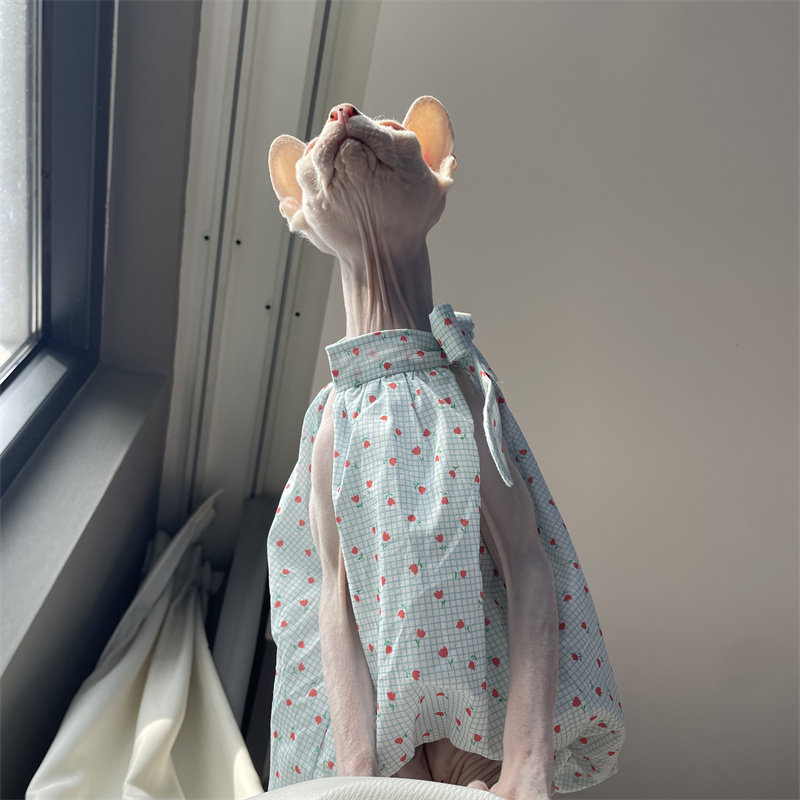 Cat Clothing in Summer Sweet L - Summer Light Clothing 评论和价格