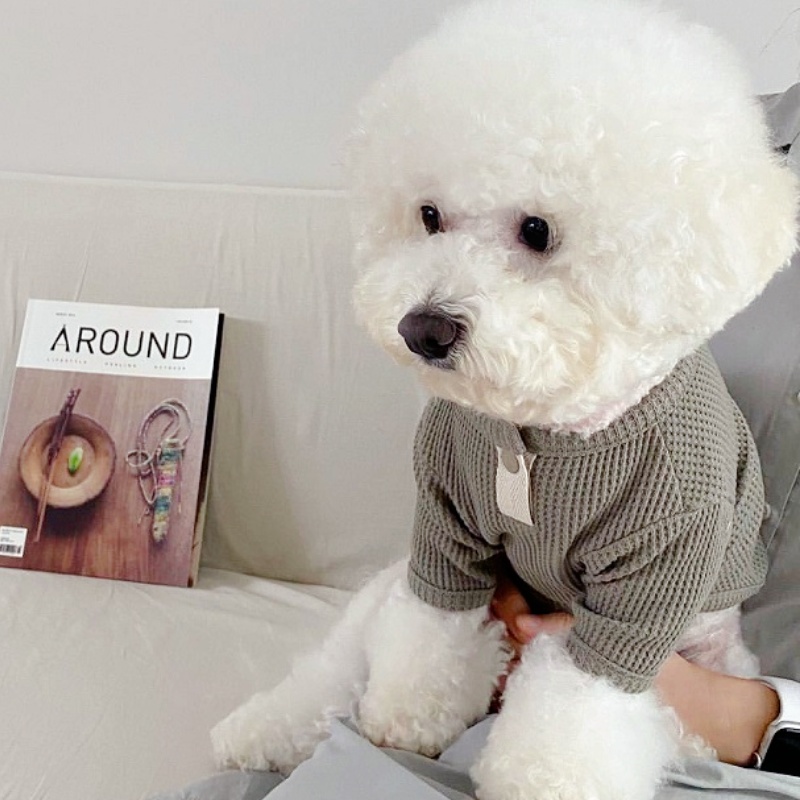 Summer Pet Shirt Solid Dog T-S - Summer Clothing In French 评论和价格